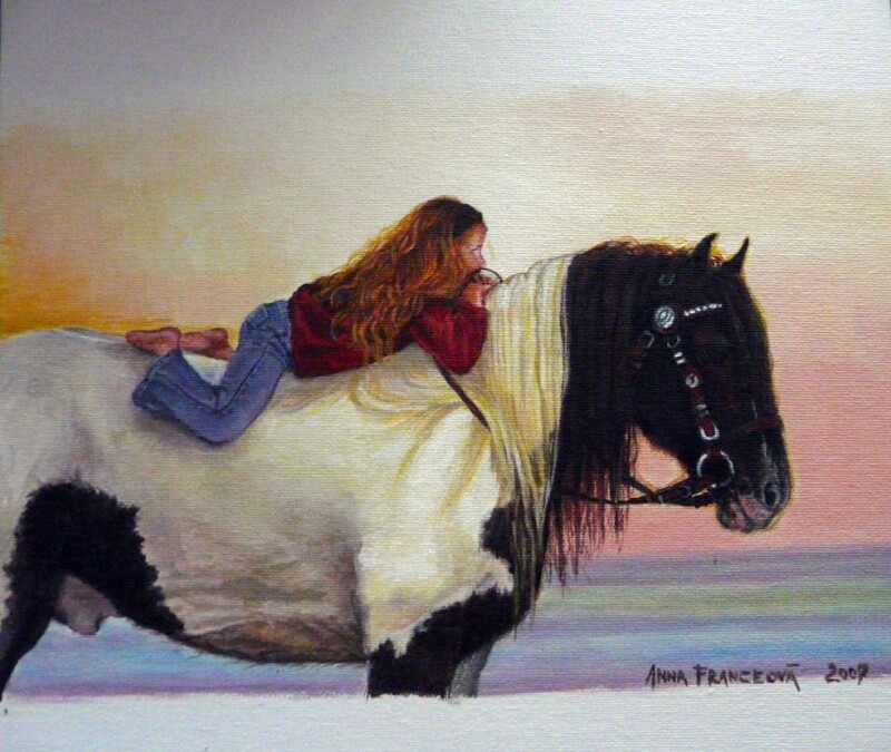 "Gypsy Vanner a dievča"